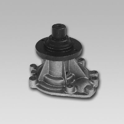 HEPU P975 Water Pump