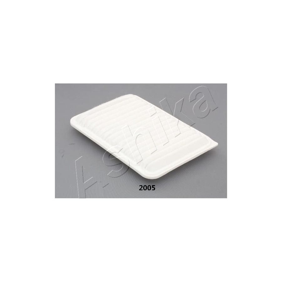Ashika 20-02-2005 Air Filter