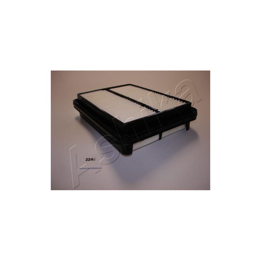 Ashika 20-02-224 Air Filter