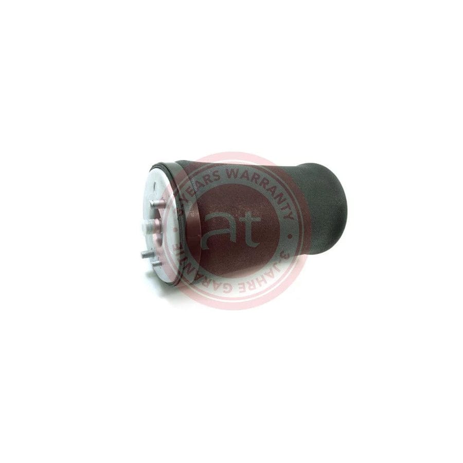 at autoteile germany At10507 Air Spring, Suspension for BMW X5 (E53)