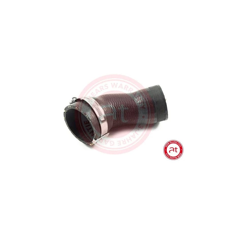 at autoteile germany At20495 Charger Intake Hose
