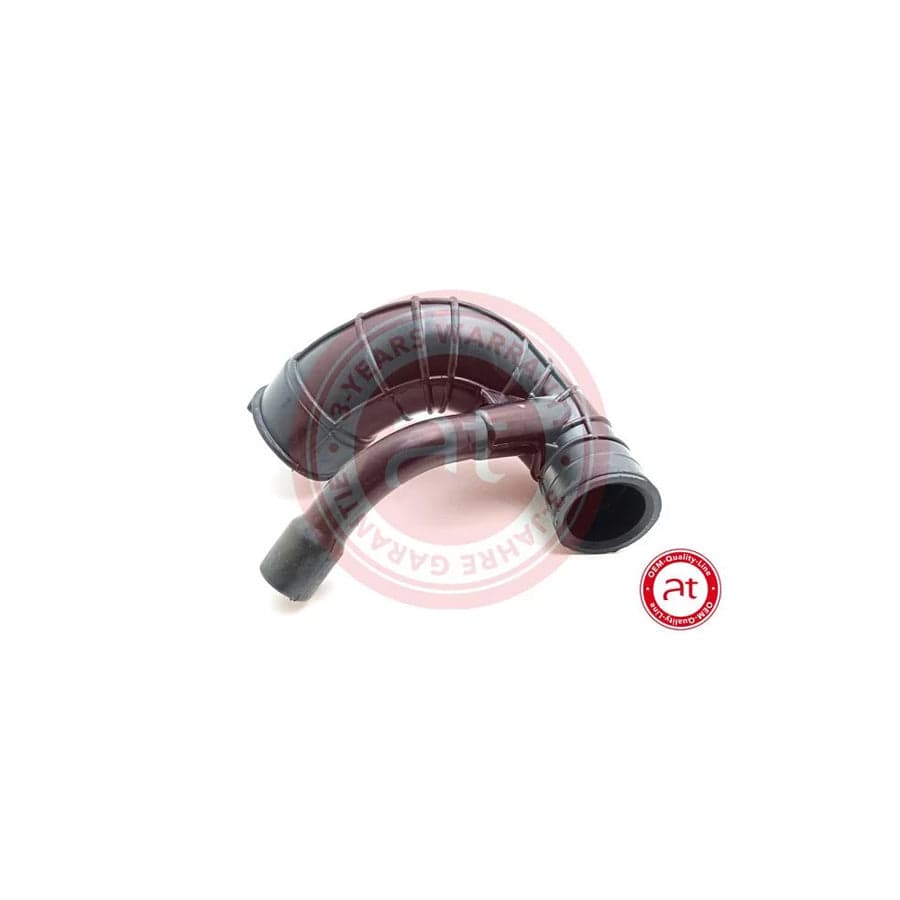 at autoteile germany At21717 Intake Pipe, Air Filter