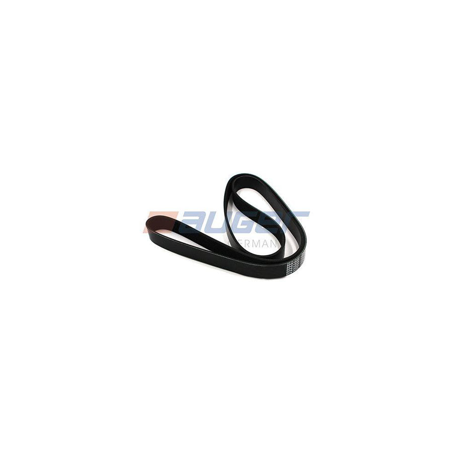 Auger 79925 V-Ribbed Belt