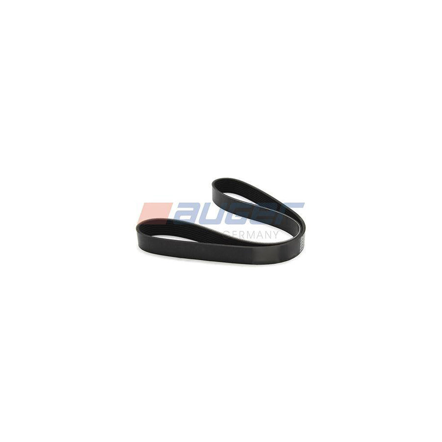Auger 80064 V-Ribbed Belt
