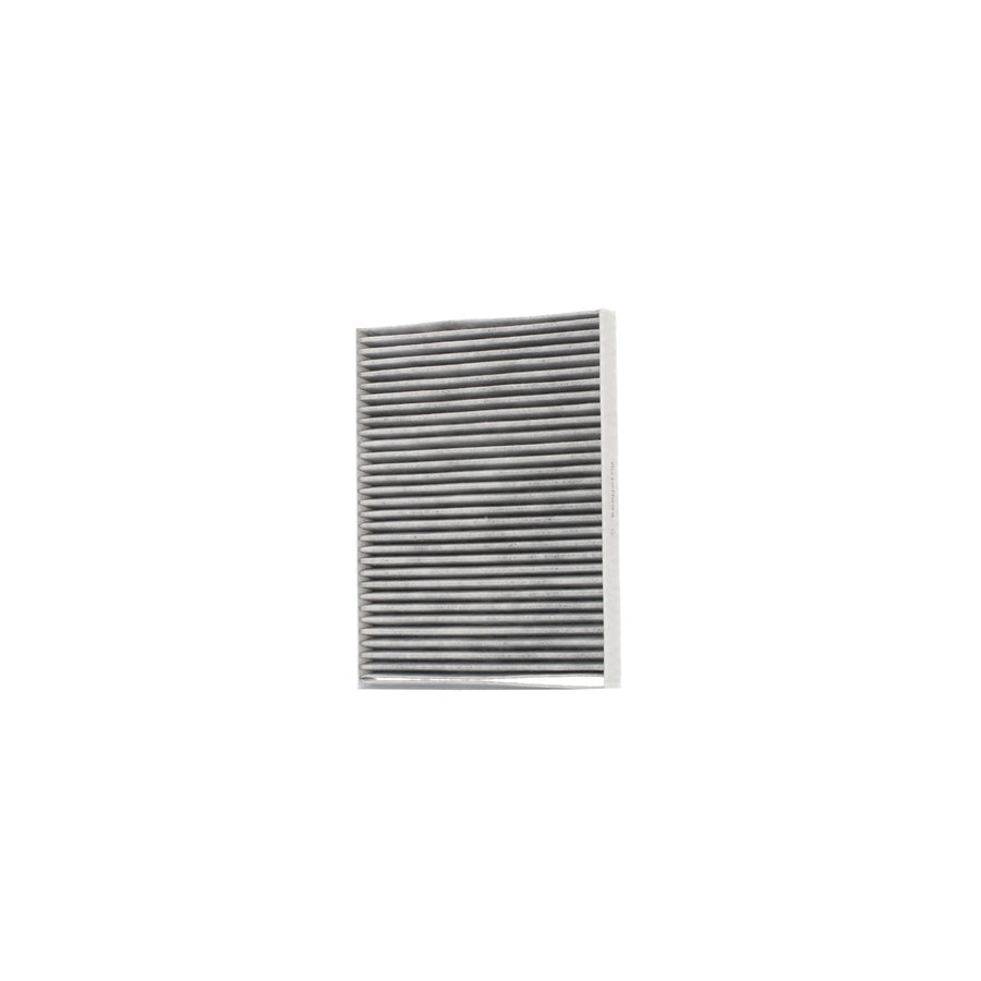 AUTOMEGA 180006010 Pollen Filter