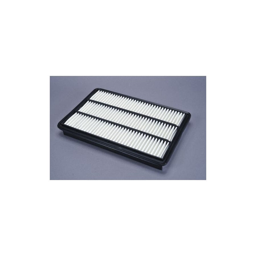 Automega 180074810 Air Filter
