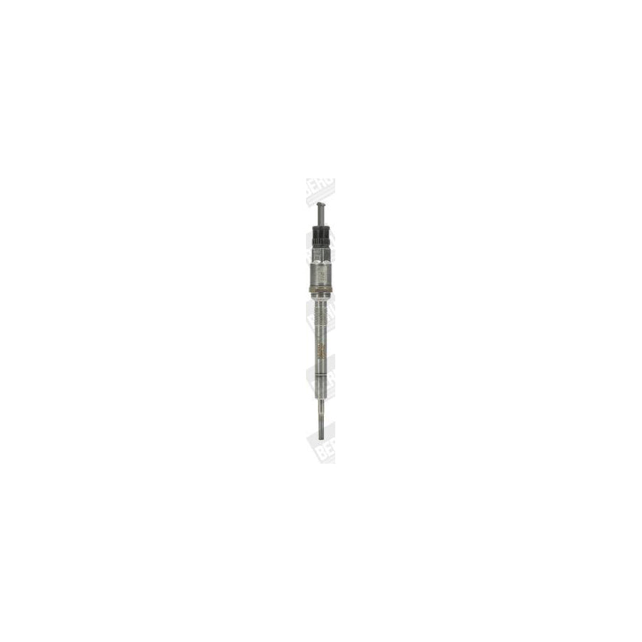 Beru G2P Protective Cap, Distributor Plug