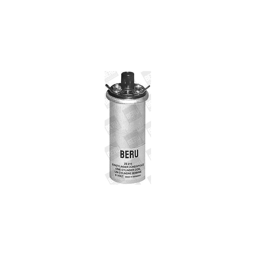 Beru Ger049 Alternator Regulator