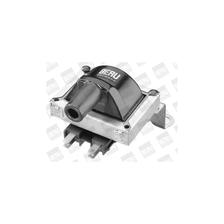 Beru Ger101 Alternator Regulator