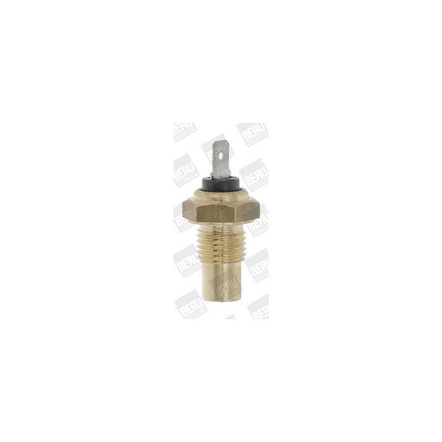Beru St048 Sensor, Coolant Temperature