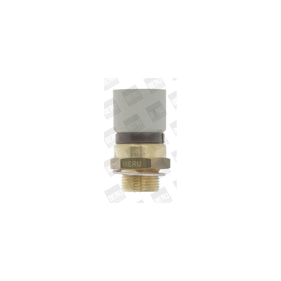 Beru St123 Temperature Switch, Radiator Fan