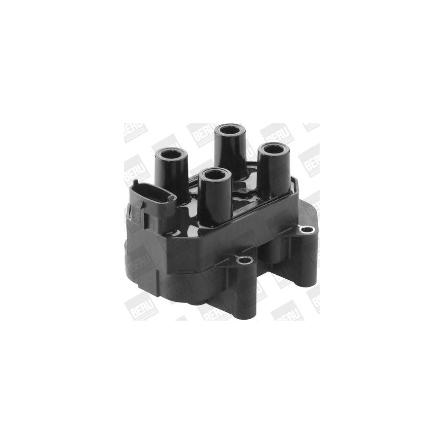 Beru Zs450 Ignition Coil
