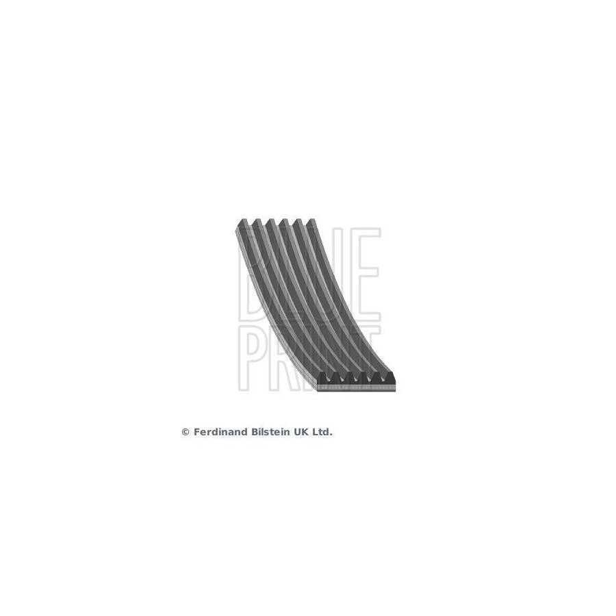 Blue Print Ad06S1019 V-Ribbed Belt