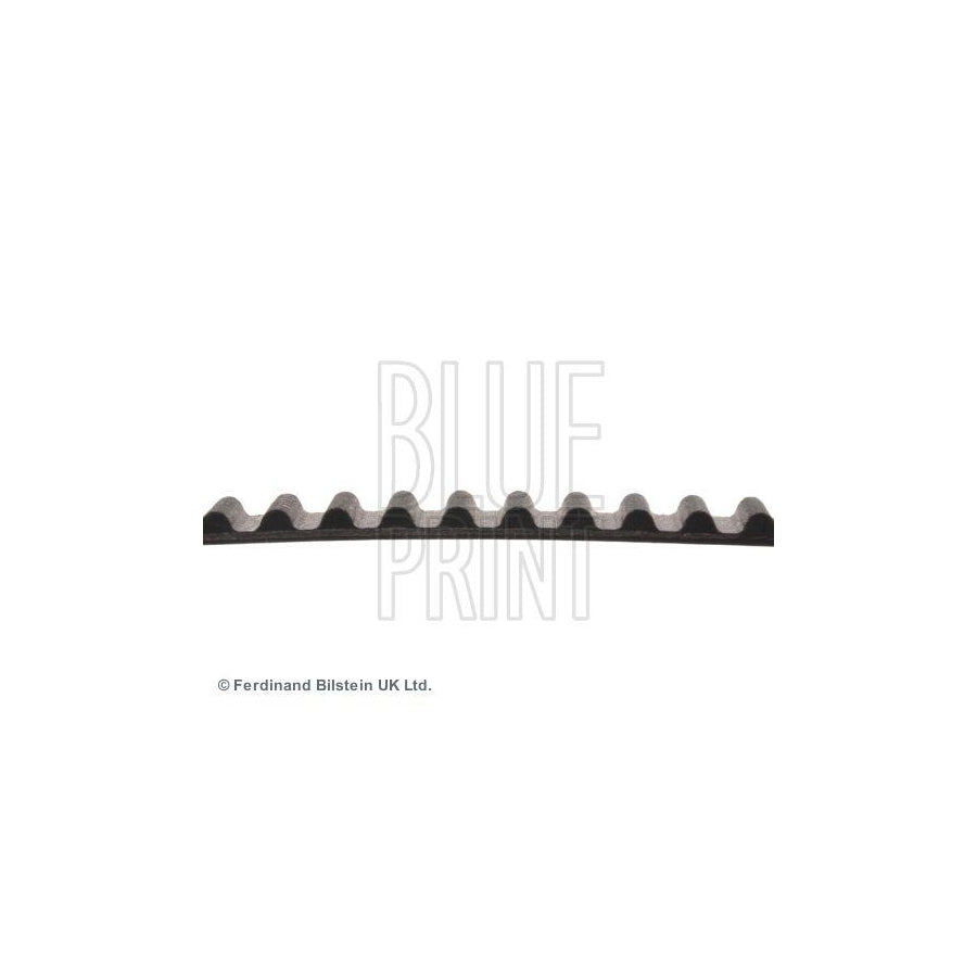 Blue Print Adk87503 Timing Belt for Suzuki Vitara
