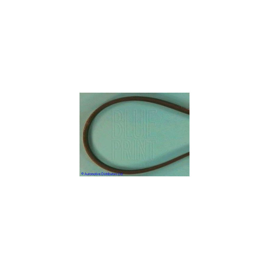 Blue Print Adt39611 V-Ribbed Belt
