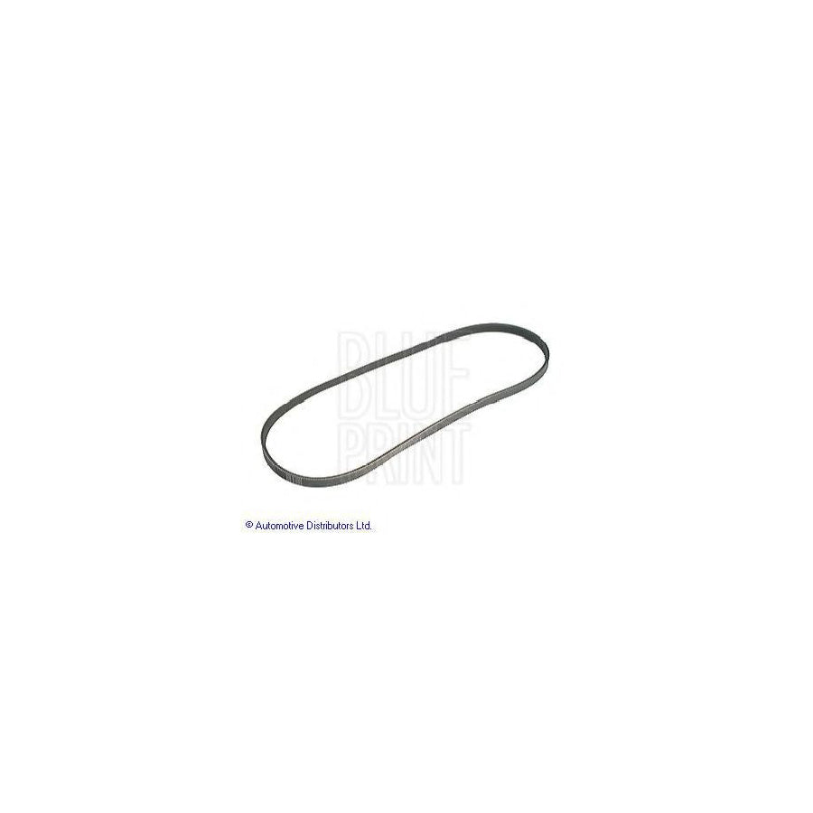 Blue Print Adt39626 V-Ribbed Belt