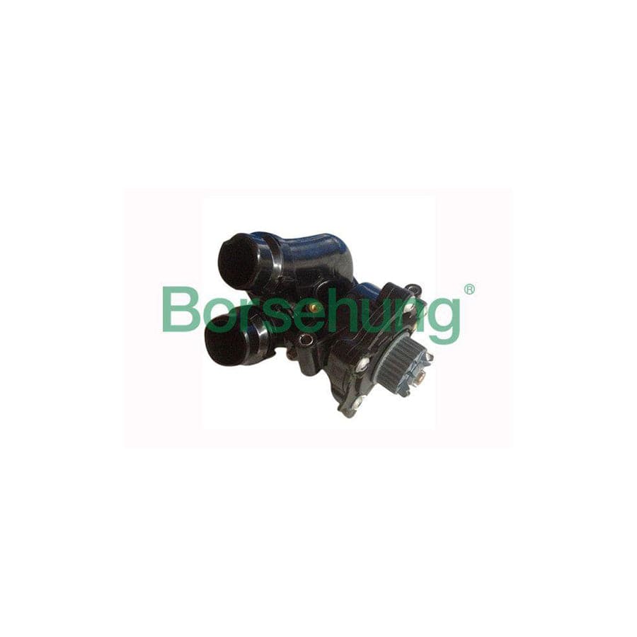 Borsehung B12691 Water Pump