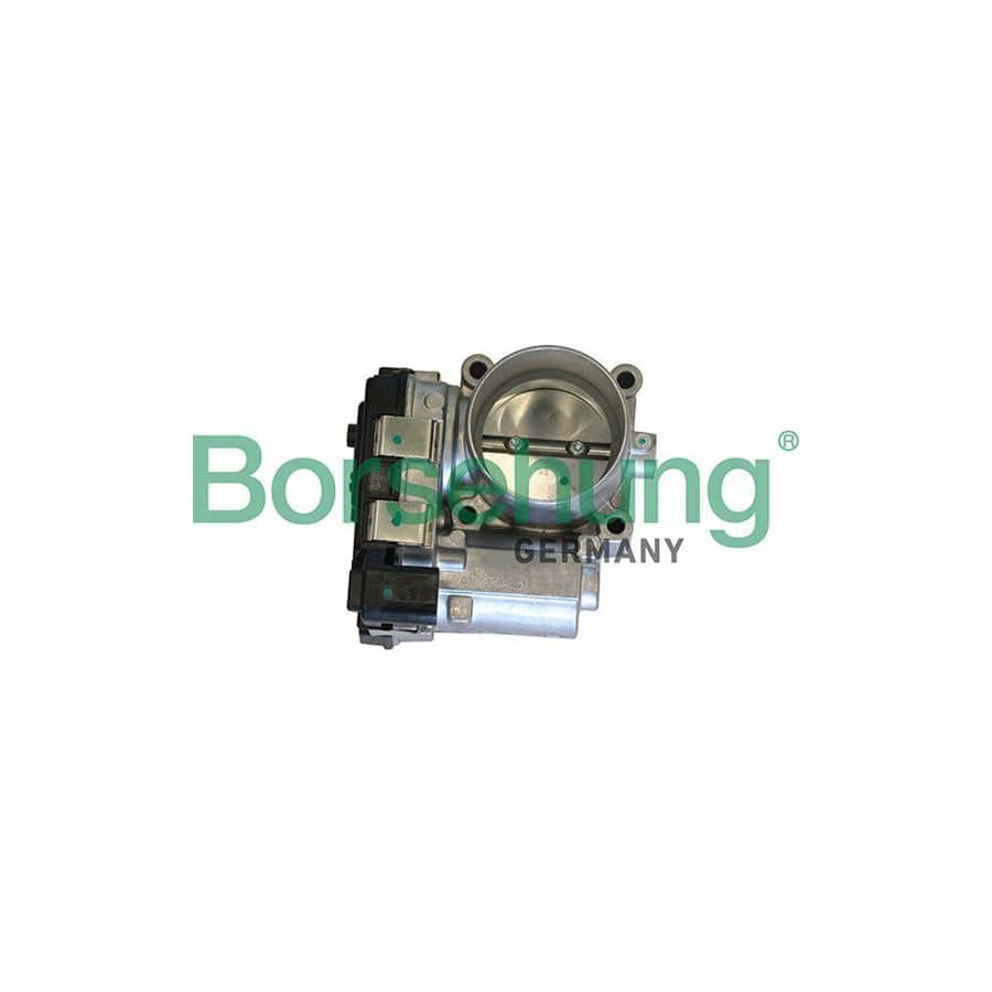 Borsehung B19290 Throttle Body