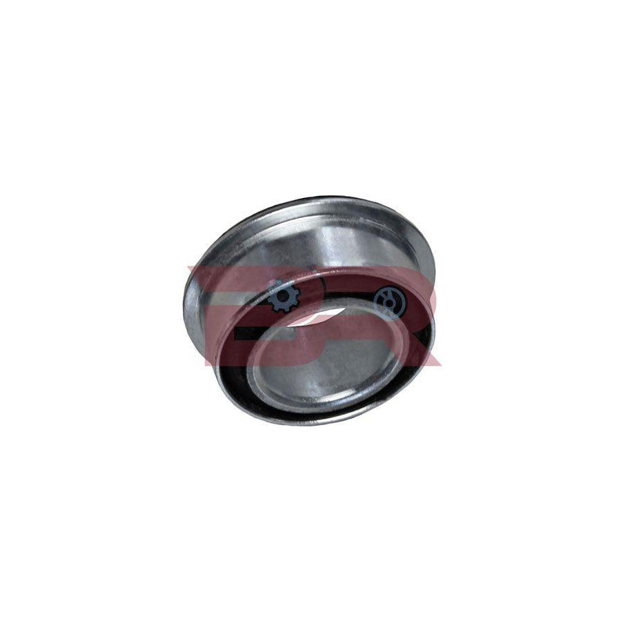 Botto Ricambi Brs0342 Control Arm- / Trailing Arm Bush for Iveco Daily