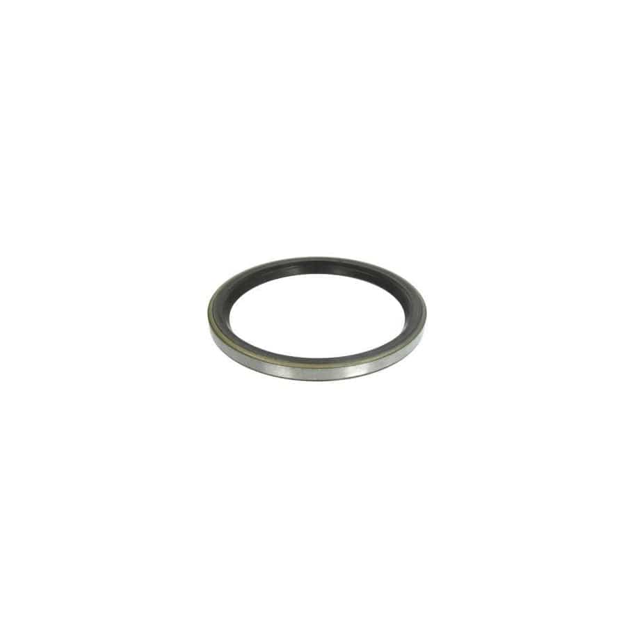 BTA B06-2016 Shaft Seal, Wheel Hub