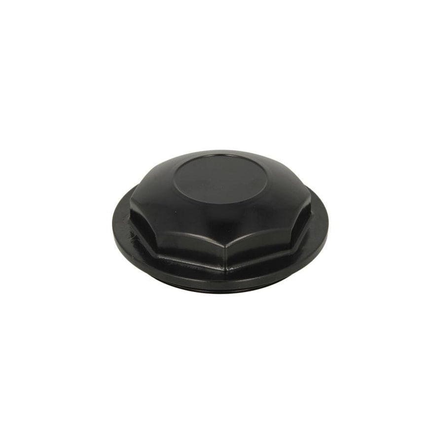 BTA B09-Rvi-002 Cover, Wheel Hub