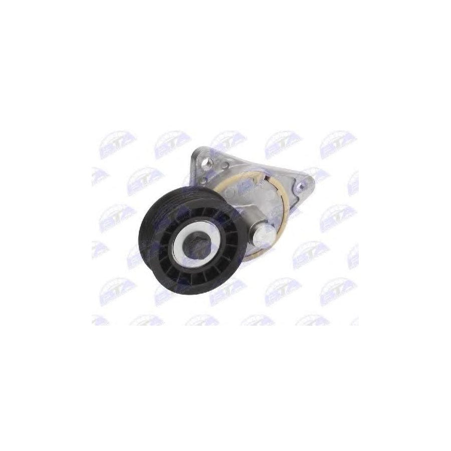 BTA E2G0016BTA Tensioner Pulley