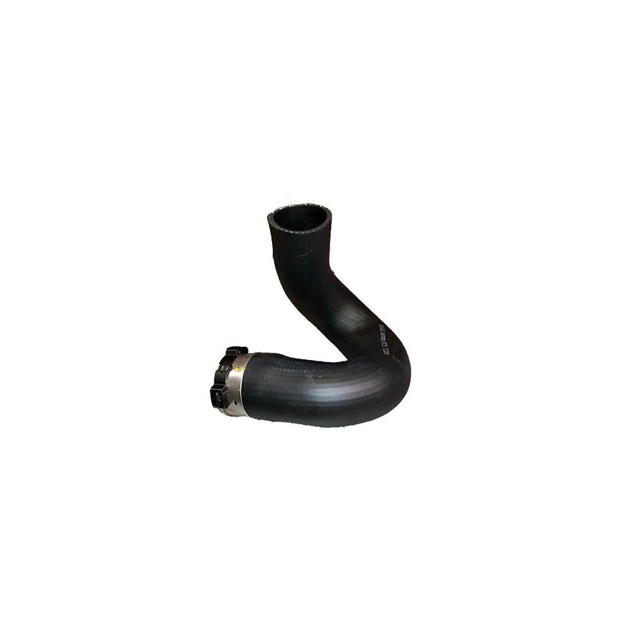 BUGIAD 81724 Charger Intake Hose for Alfa Romeo Giulietta Hatchback (940)