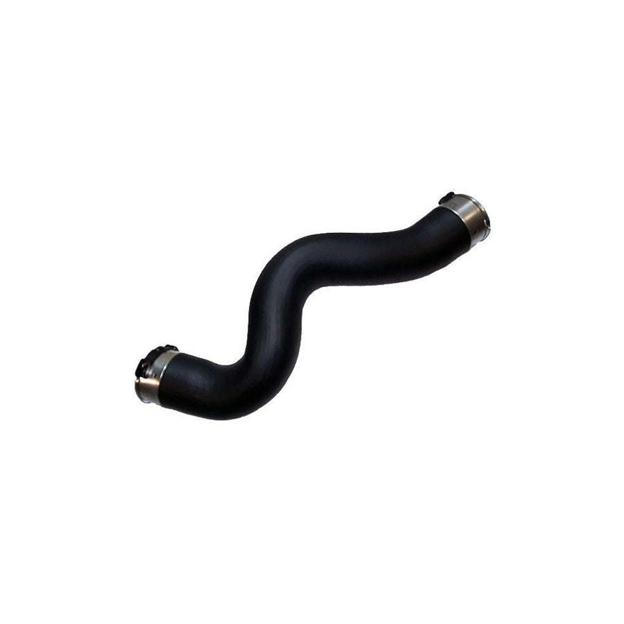 BUGIAD 81738 Charger Intake Hose