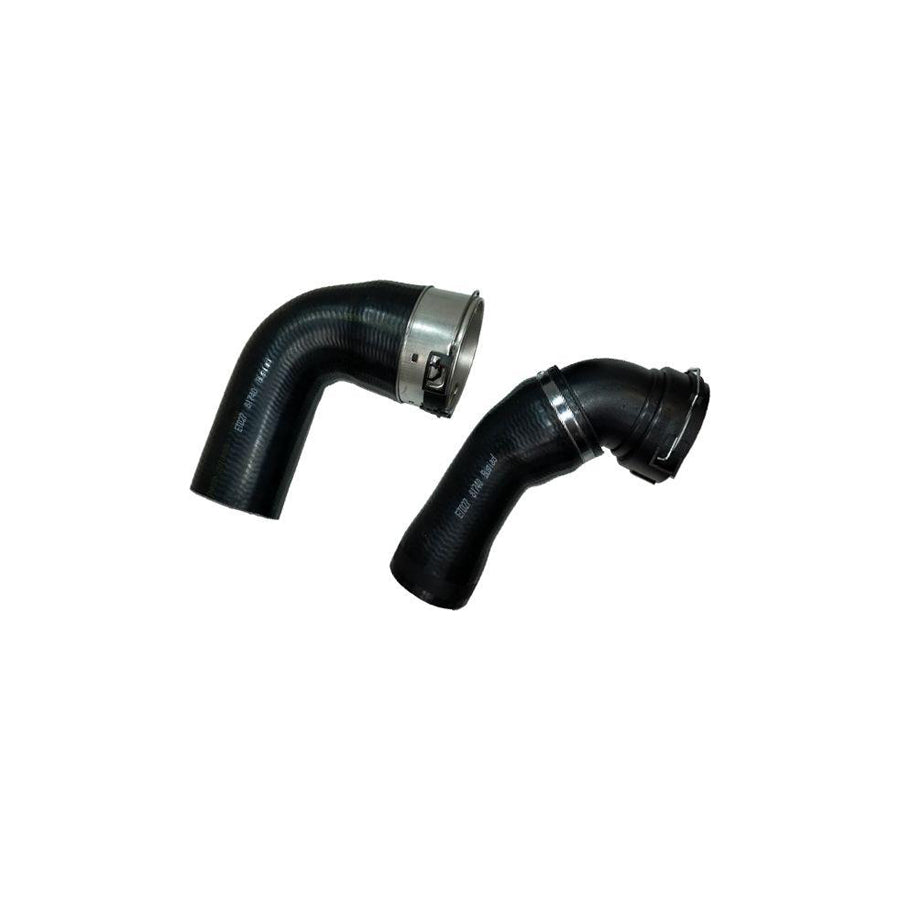 BUGIAD 81740 Charger Intake Hose for BMW 5 Series