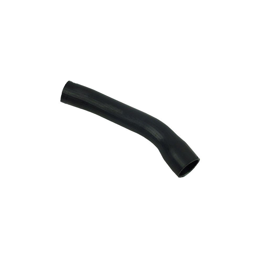BUGIAD 81958 Charger Intake Hose
