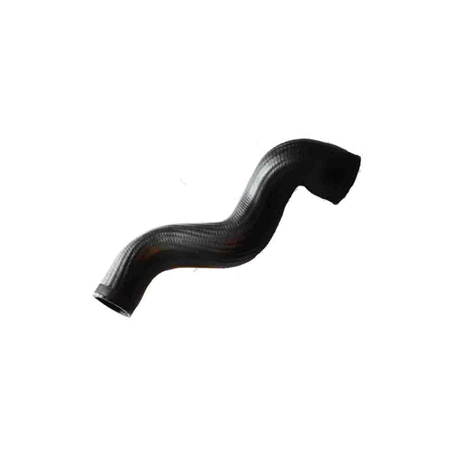 BUGIAD 81990 Charger Intake Hose for Audi A4