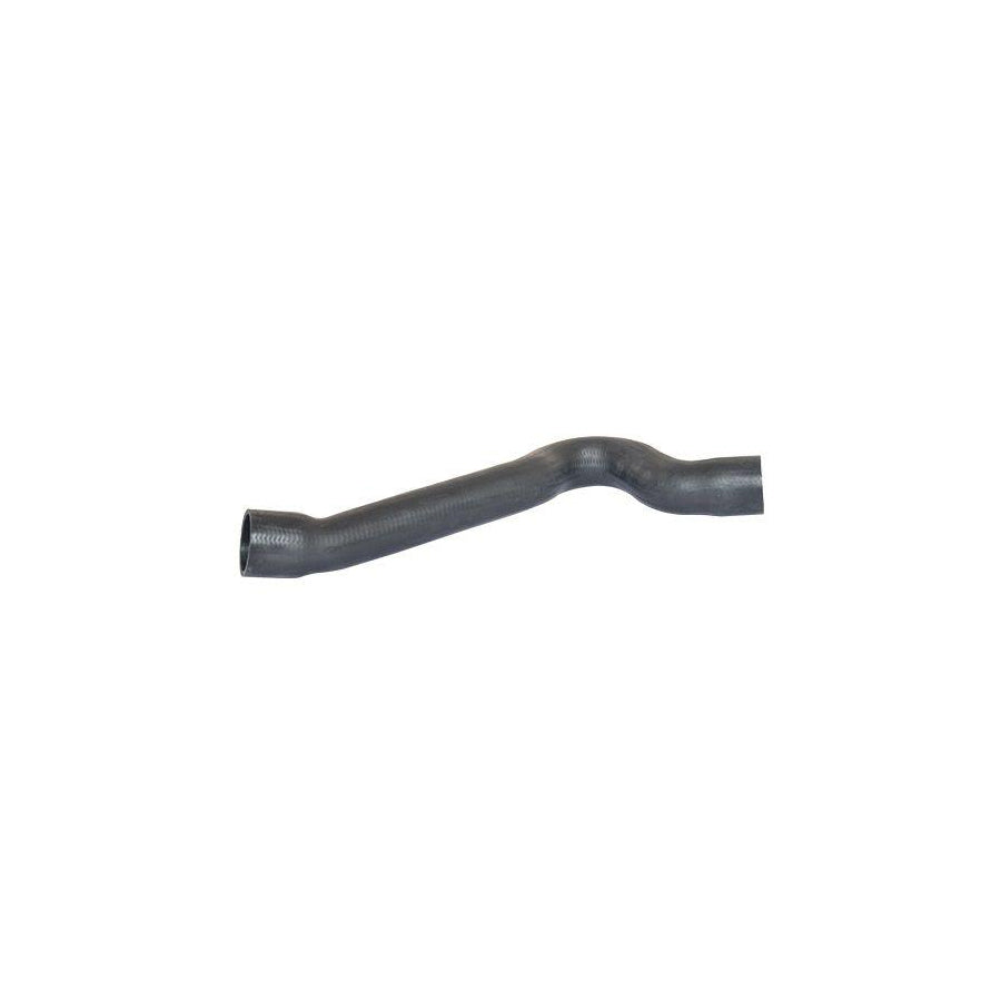 BUGIAD 88729 Charger Intake Hose for Peugeot 406