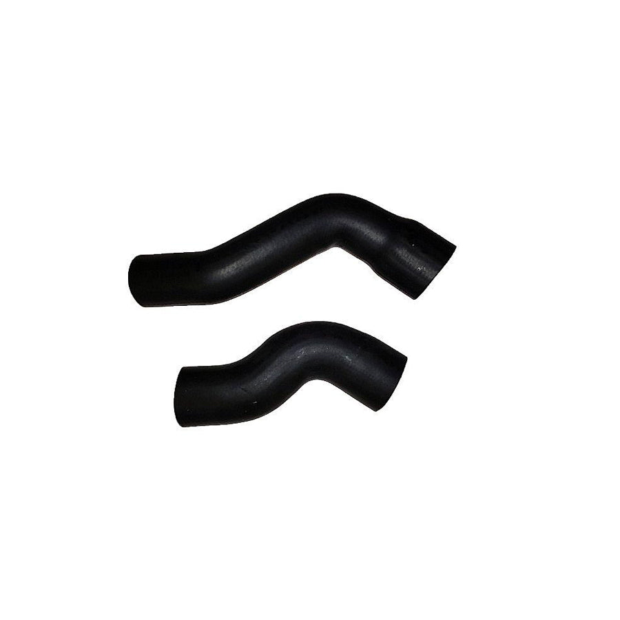 BUGIAD 88779 Charger Intake Hose for Fiat Doblo