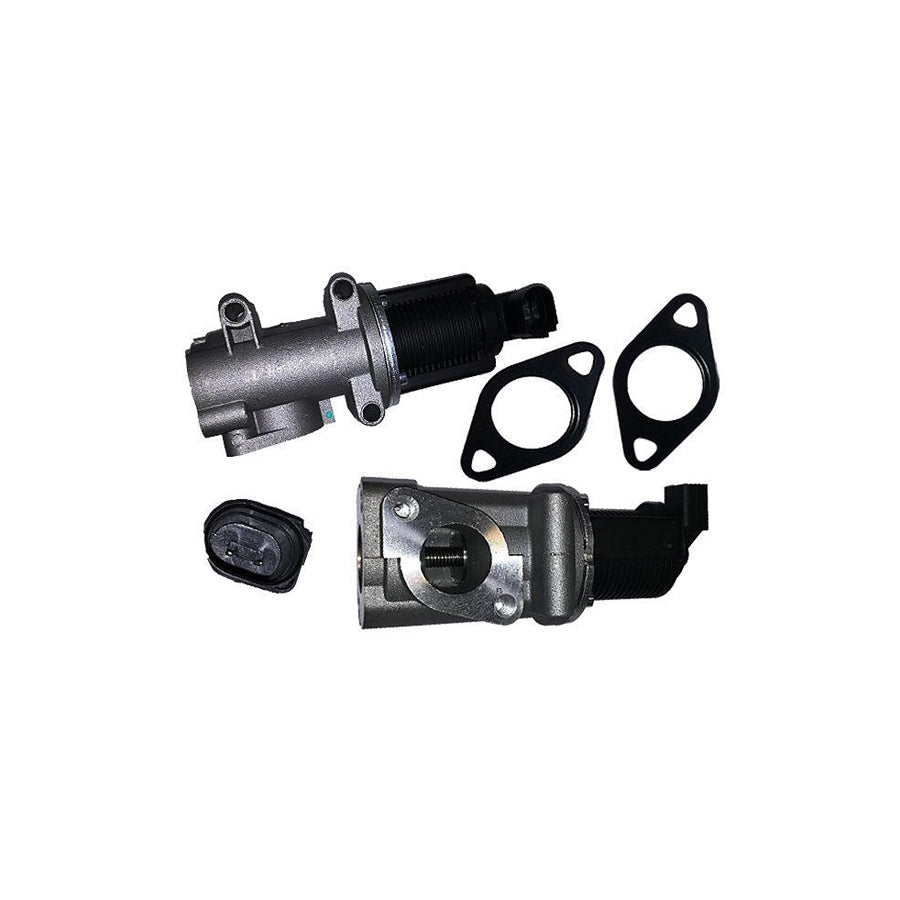 BUGIAD Bgr13033 Egr Valve