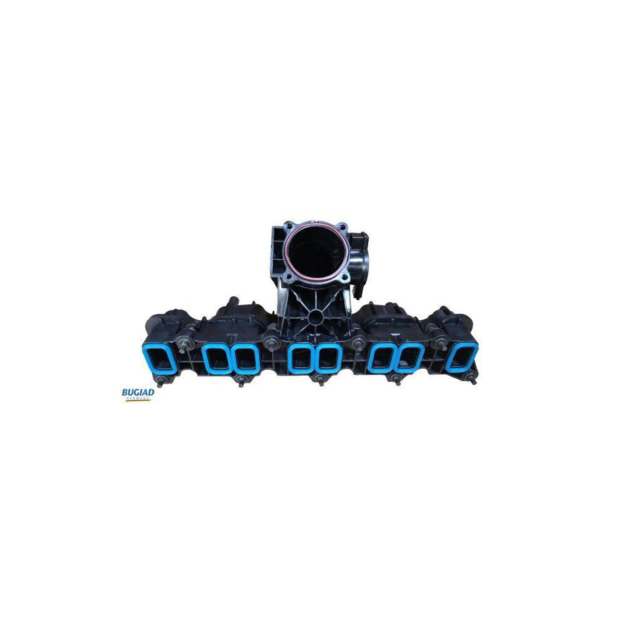 BUGIAD Bim17028 Intake Manifold, Air Supply for Ford Transit