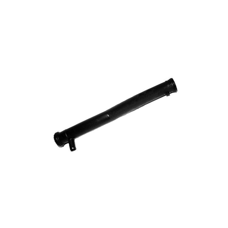 Bugiad BMC19191 Coolant Tube