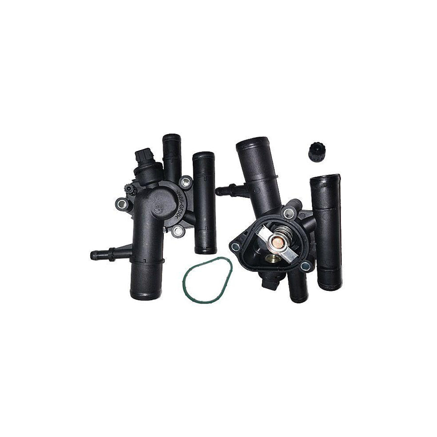 BUGIAD Bmc19195 Thermostat Housing