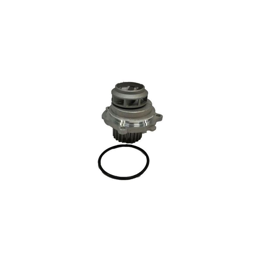 BUGIAD Bsp20041 Water Pump