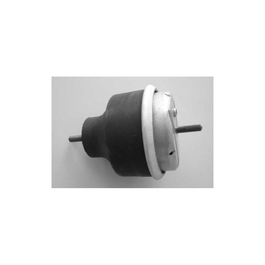 BUGIAD Bsp20240 Engine Mounting