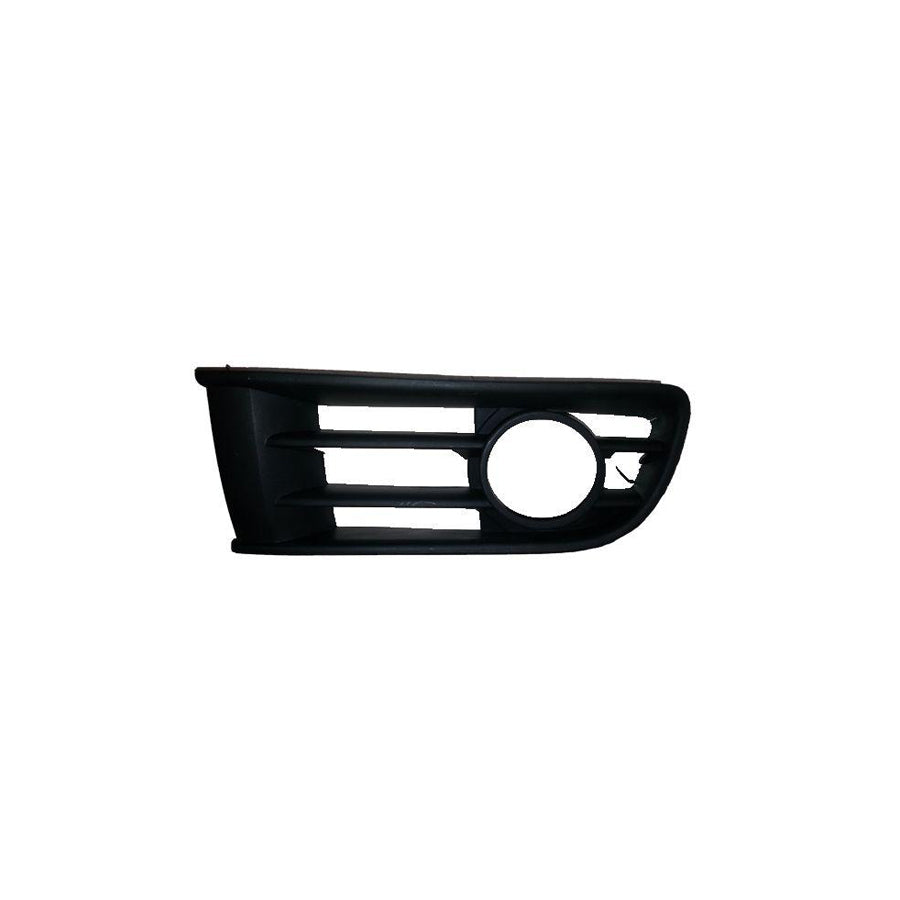 BUGIAD Bsp20620 Bumper Grill for VW Polo
