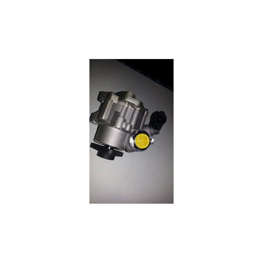 BUGIAD Bsp20828 Power Steering Pump