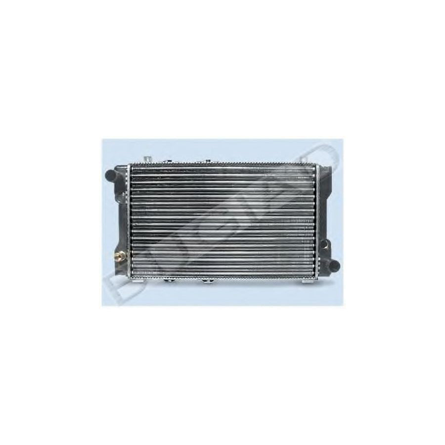 BUGIAD Bsp22206 Fan, Radiator