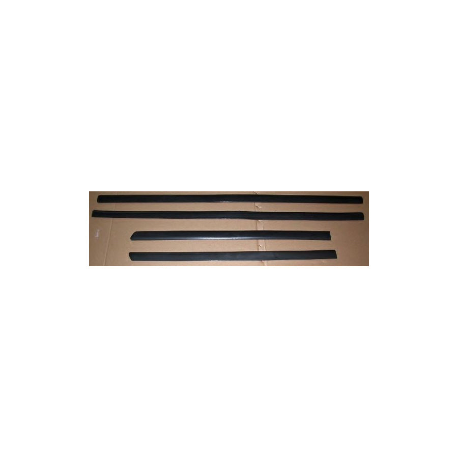 BUGIAD Bsp22443 Door Molding for VW Passat