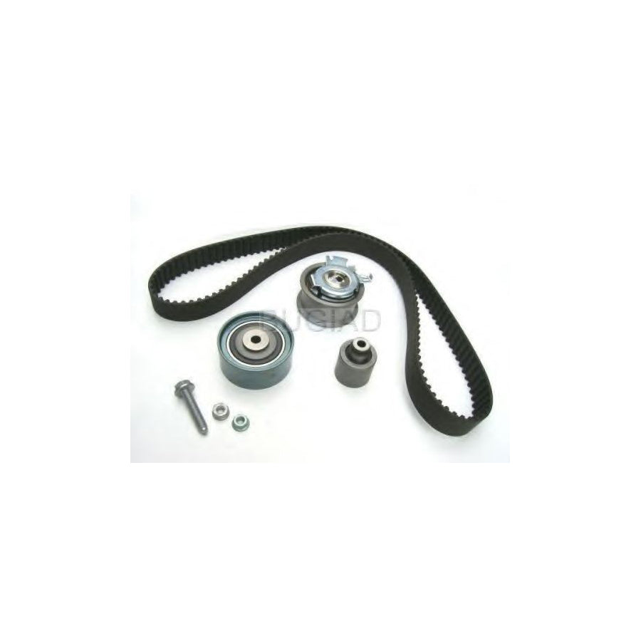 BUGIAD Bsp23194 Timing Belt Kit