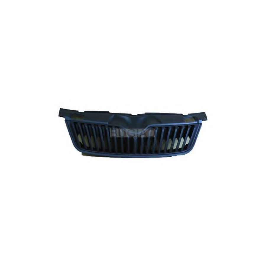 BUGIAD Bsp23948 Radiator Grille for Skoda Fabia II Hatchback (542)