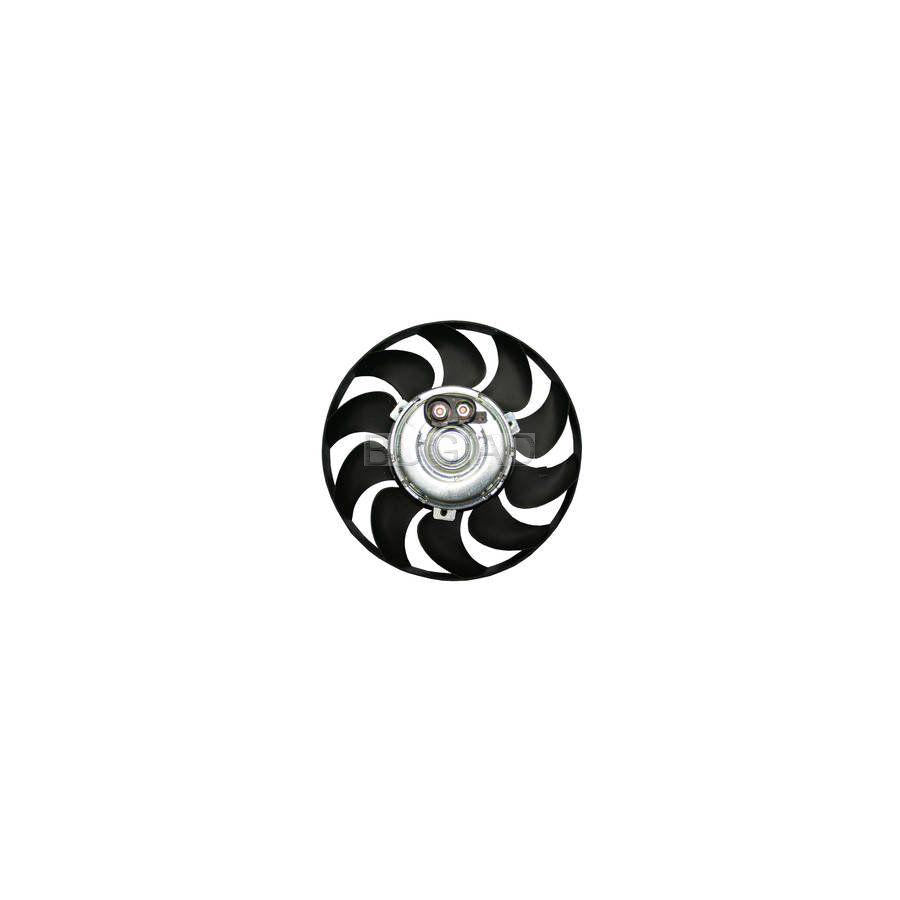 BUGIAD Bsp24227 Fan, Radiator for VW Transporter