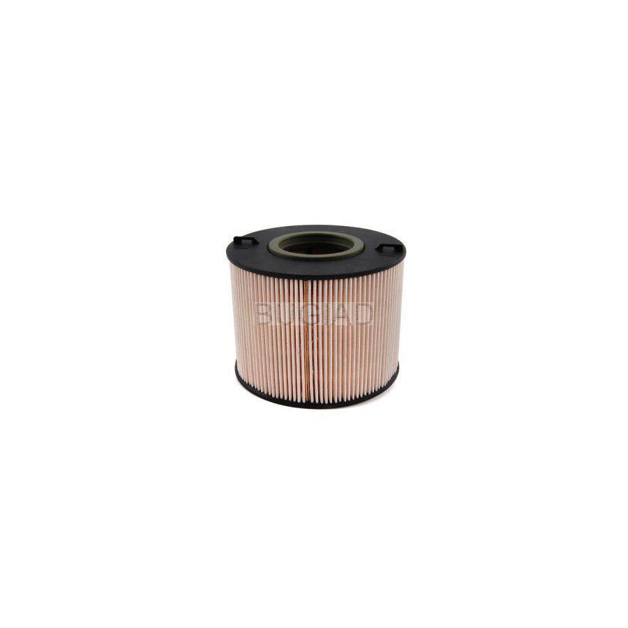 BUGIAD Bsp24285 Fuel Filter