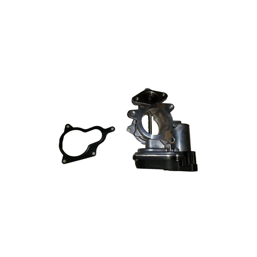 BUGIAD Bsp24682 Egr Valve