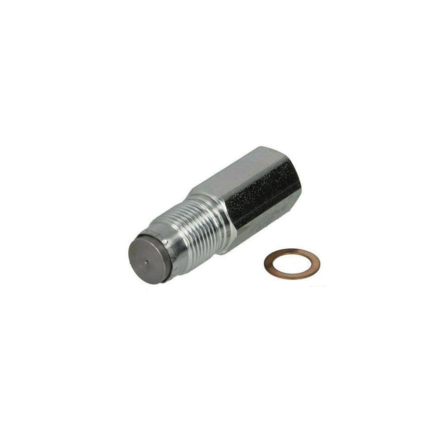 BUGIAD Bsp24949 Valve, Fuel Supply System