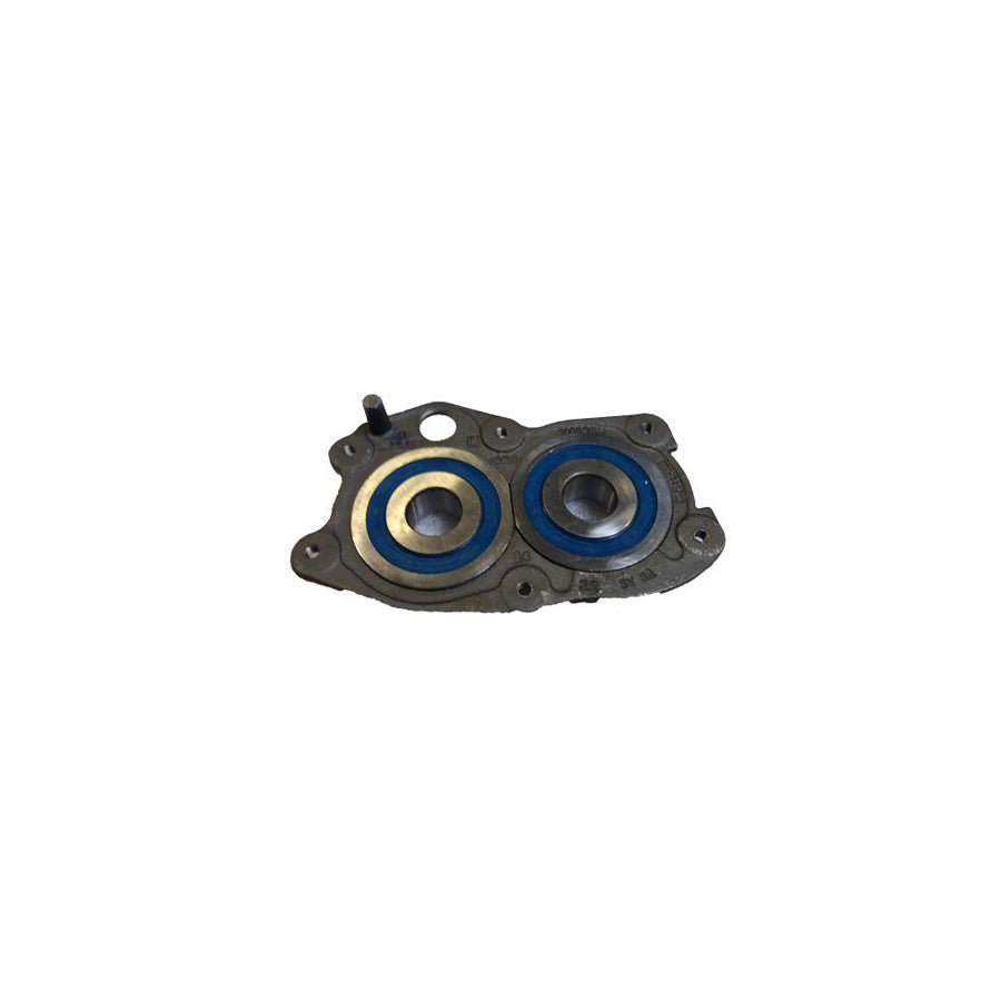 BUGIAD Bsp24951 Bearing Kit, Manual Transmission